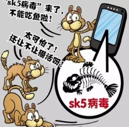 西瓜sk5病毒最新消息,西瓜SK5病毒最新动态揭晓