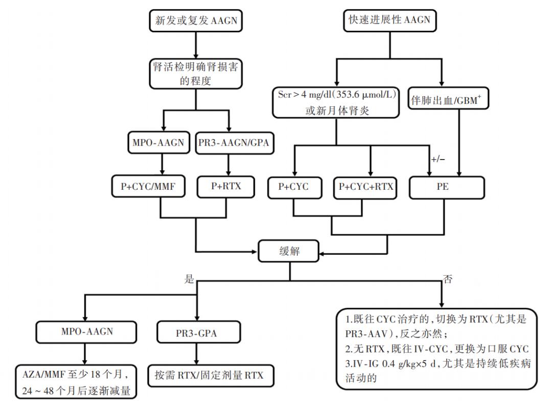 我的世界PE最新版速览