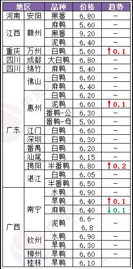 “毛鸭现时行情价”