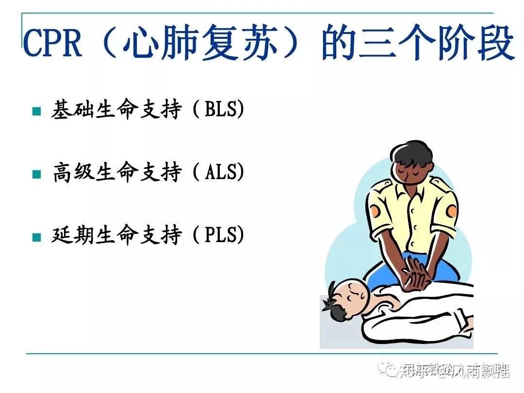 2025版心肺复苏术权威指南深度解析与要点速览