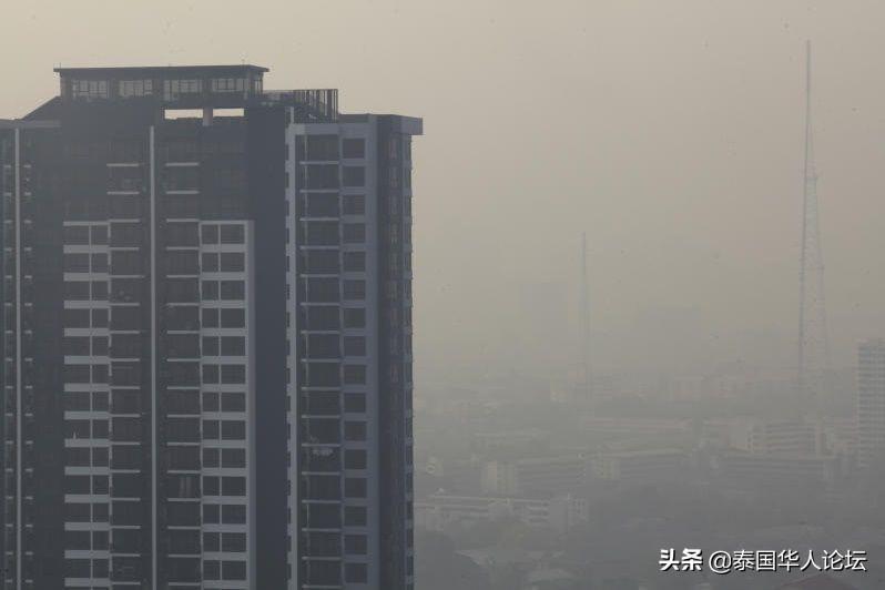 新泰市房地产市场最新报价